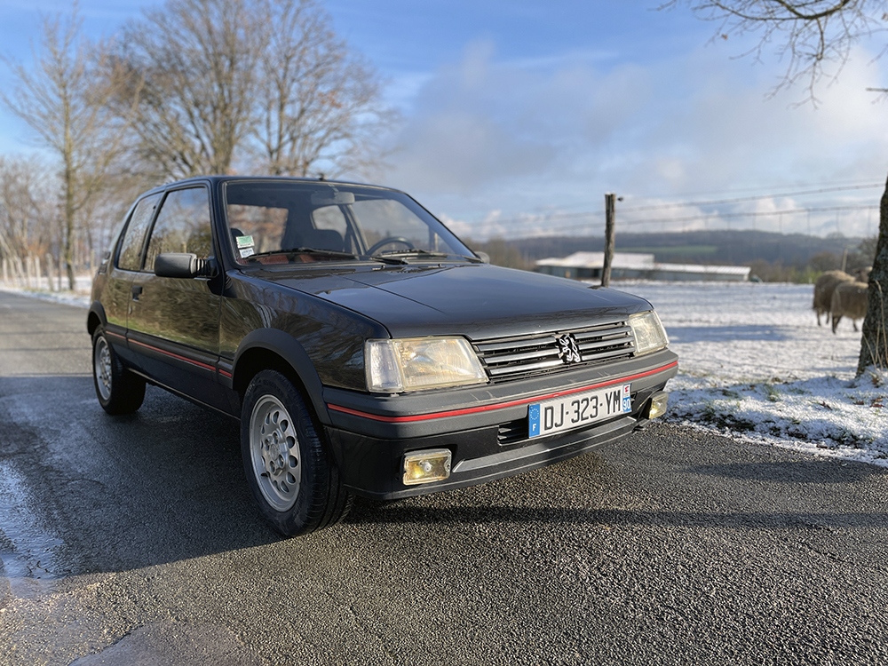 Peugeot 205 GTi 115 1991
