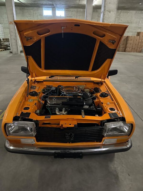 Peugeot 304 1971